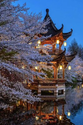 中國院子·夢溪苑·隱居酒店