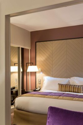 斯特拉斯堡格蘭特艾爾索菲特酒店