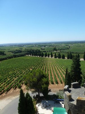 菲諾士城堡酒店