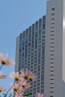 東京全日空洲際酒店