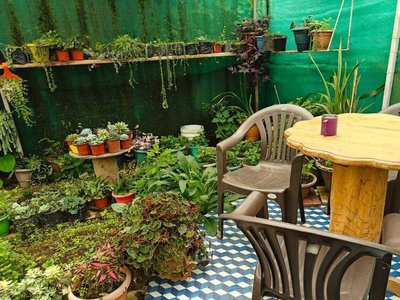 阿邁拉度假村和農場 - 米里克,西孟加拉邦