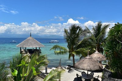 莫阿爾博阿爾海豚之家度假酒店