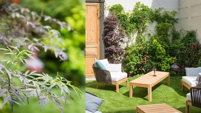 貨幣藝術和水療酒店