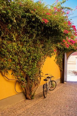 維庫尼亞卡法亞特別墅