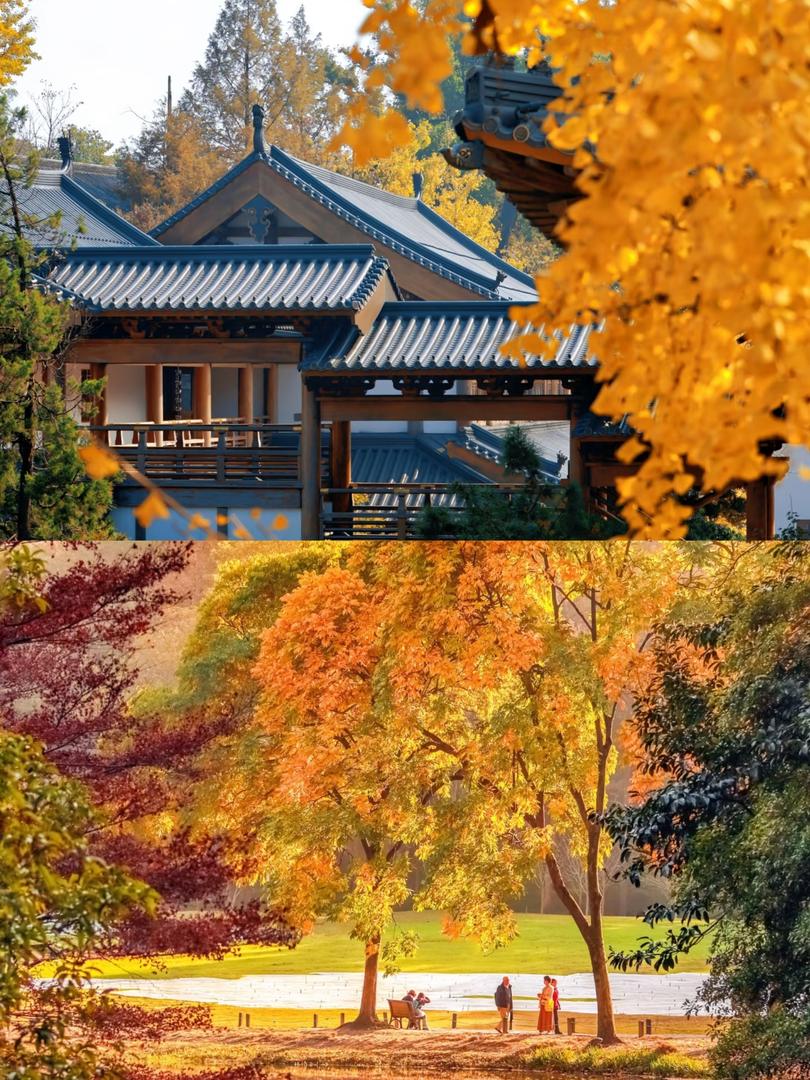 去了杭州8次,我的私藏攻略大公開! - Image 5