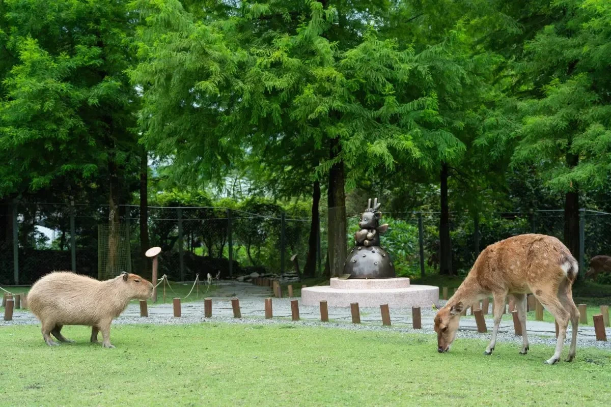 Bambi Land Ticket-Adult