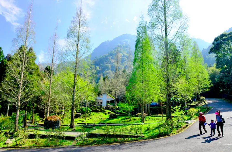 Xitou Natural Education Park full ticket (complimentary tour guide to the Shancha Tea Cultural Center and gift box for the Shancha Tour)