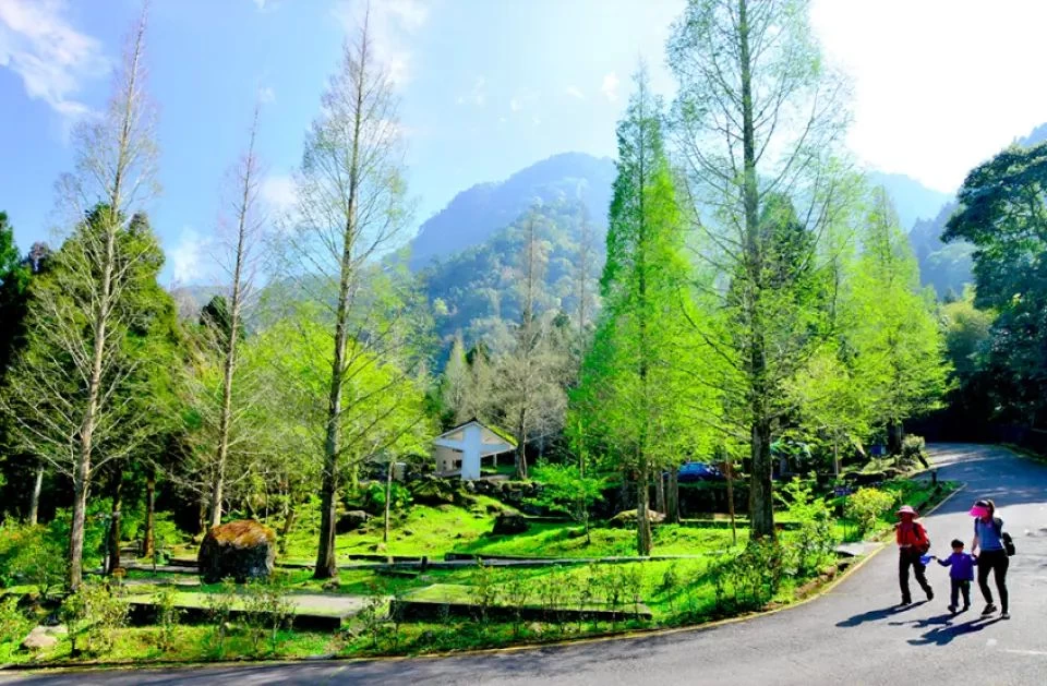Xitou Natural Education Park full ticket (complimentary tour guide to the Shancha Tea Cultural Center and gift box for the Shancha Tour)