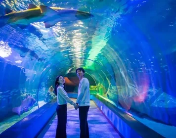 SEALIFE Busan Aquarium-Admission is available from 10:00 to 18:00-Adult